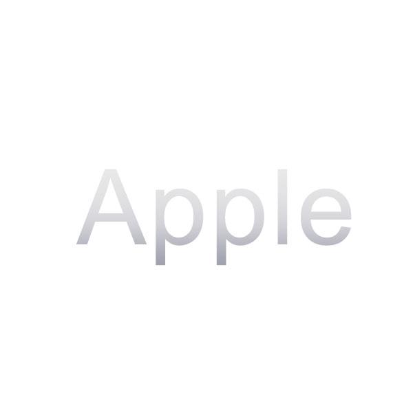 APPLE iPhoneX 64G銀