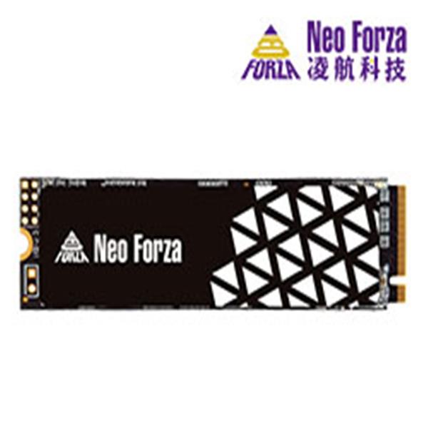 Neo Forza 凌航 NFP045 256GB PCIe Gen3.1x4(石墨烯散熱片)