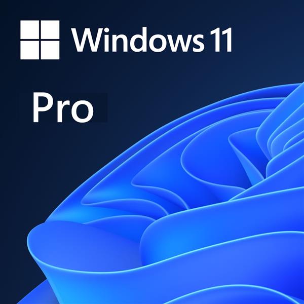 微軟Microsoft Win Pro 11 64-bit USB 英文盒裝版