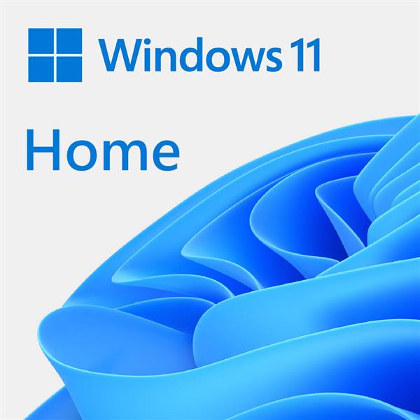 微軟Microsoft Win HOME 11 64-bit USB 英文盒裝版